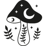 Image accompagnements coachings